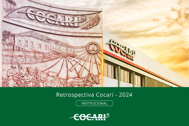 retrospectiva cocari 30 12 24