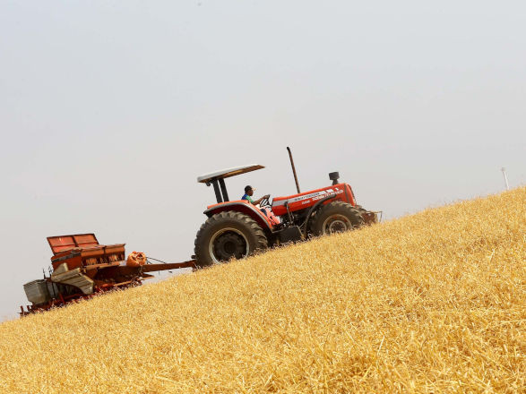 conjuntura agro 10 01 2025