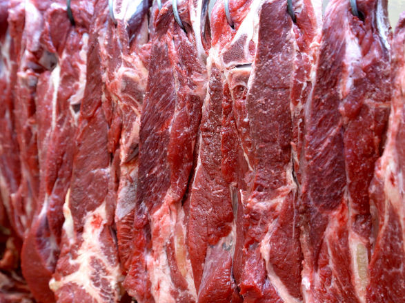 proteina animal 13 01 2025
