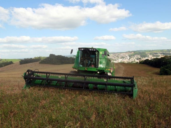 conjuntura agro 21 02 2025