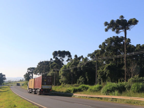 CCR PRVias inicia operação assistida nas praças de pedágio nesta quarta (18/06)