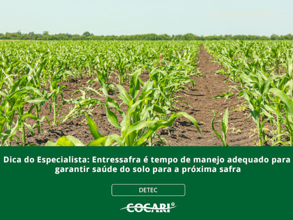 cocari 21 07 2025