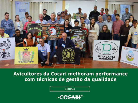 cocari I 24 07 2025