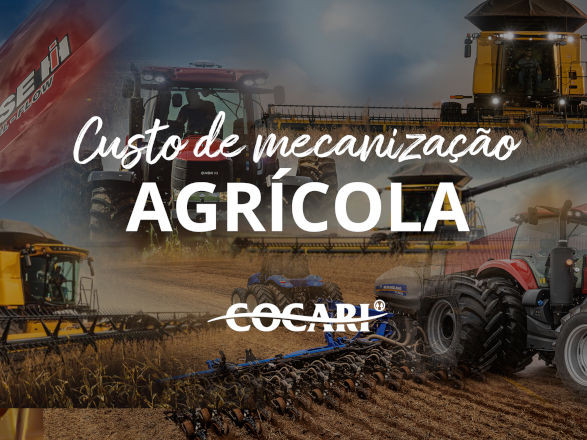 cocari II 25 07 2025
