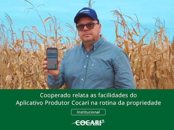cocari 04 08 2025