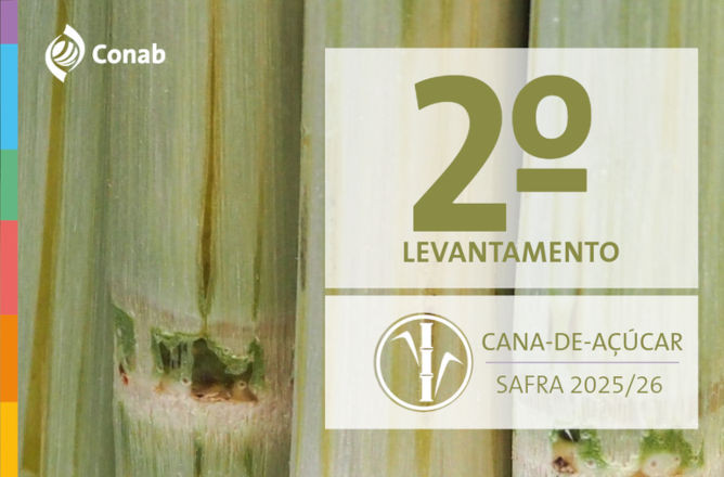 conab 27 08 2025
