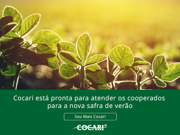 cocari 02 09 2025