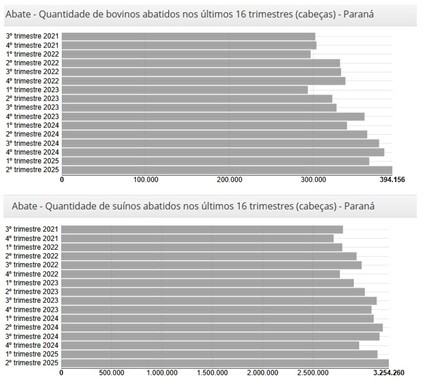 Imagem1