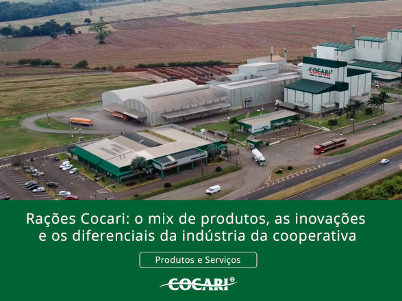 cocari 19 09 2025