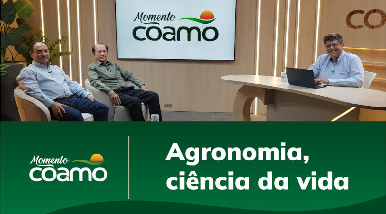 coamo 08 10 2025