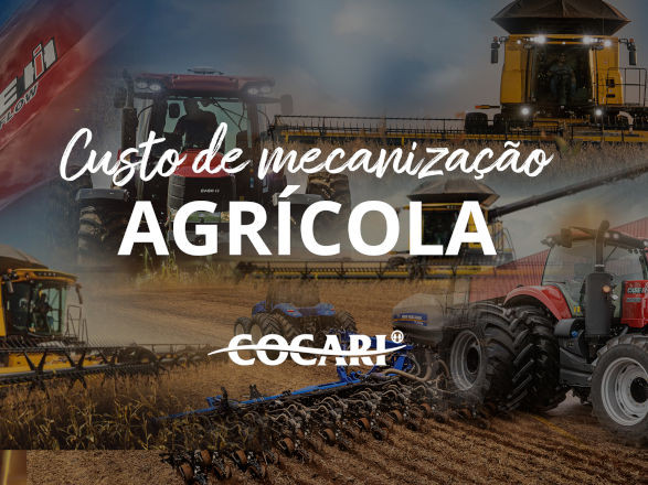 cocari II 26 11 2025