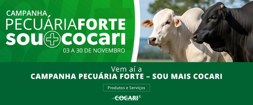 cocari 28 10 2025 