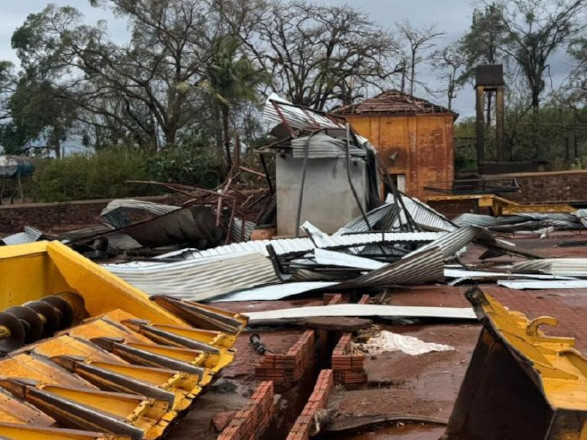 Sistema Ocepar orienta produtores sobre prejuízos com granizo nas lavouras  