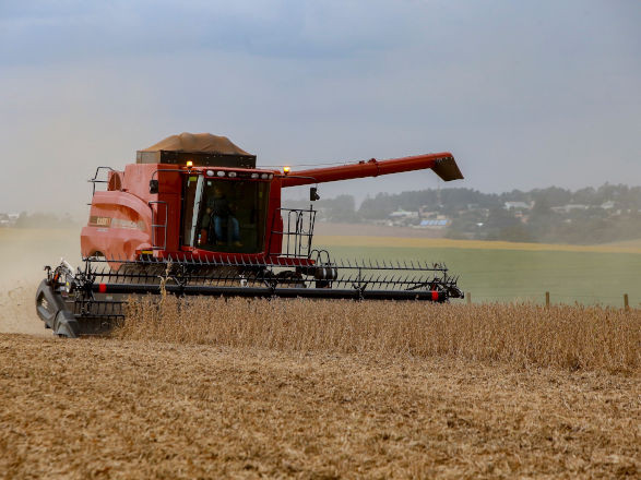 seab deral 07 11 2025