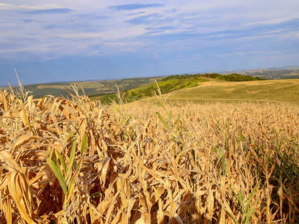 monitor secas 18 11 2025