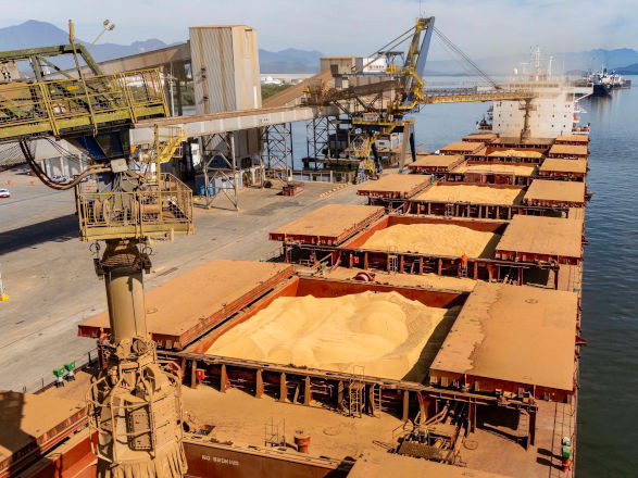 exportacoes soja 25 11 2025