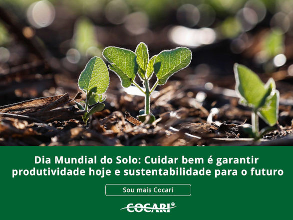 cocari II 05 12 2025