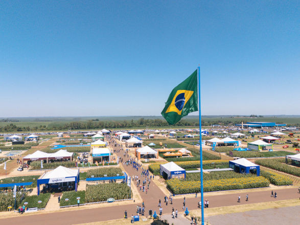 Cooperativas do PR intensificam a realização dos Dias de Campo de Verão 