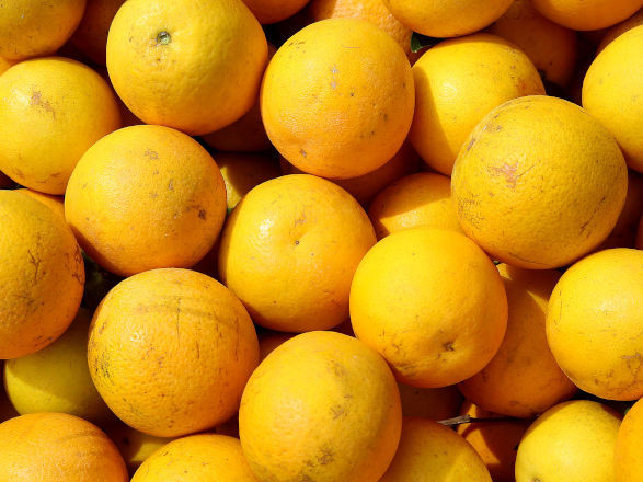 conjuntura agro 09 01 2025