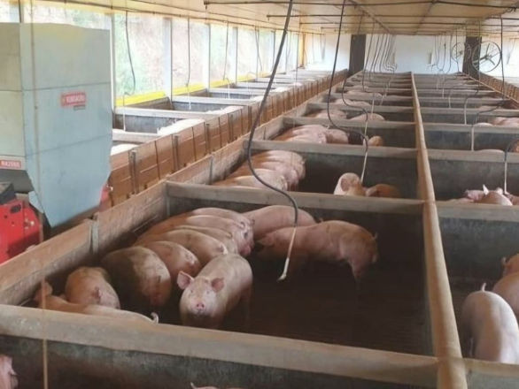 coopavel I 22 01 2026