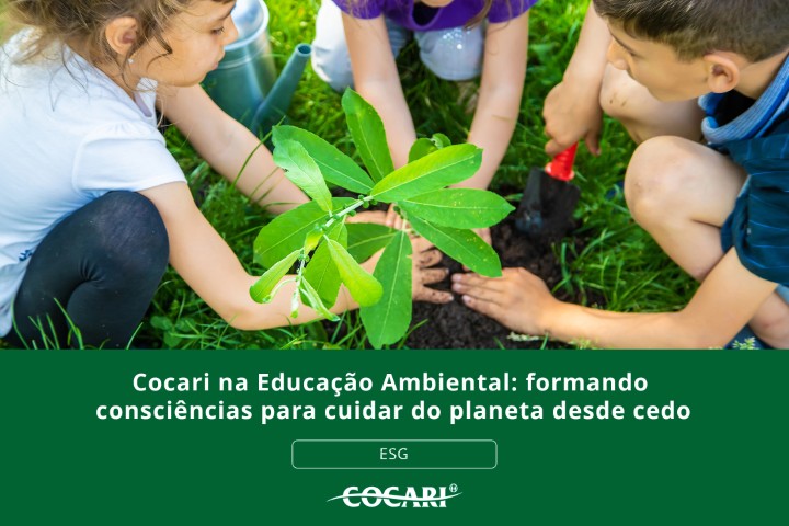cocari educacao