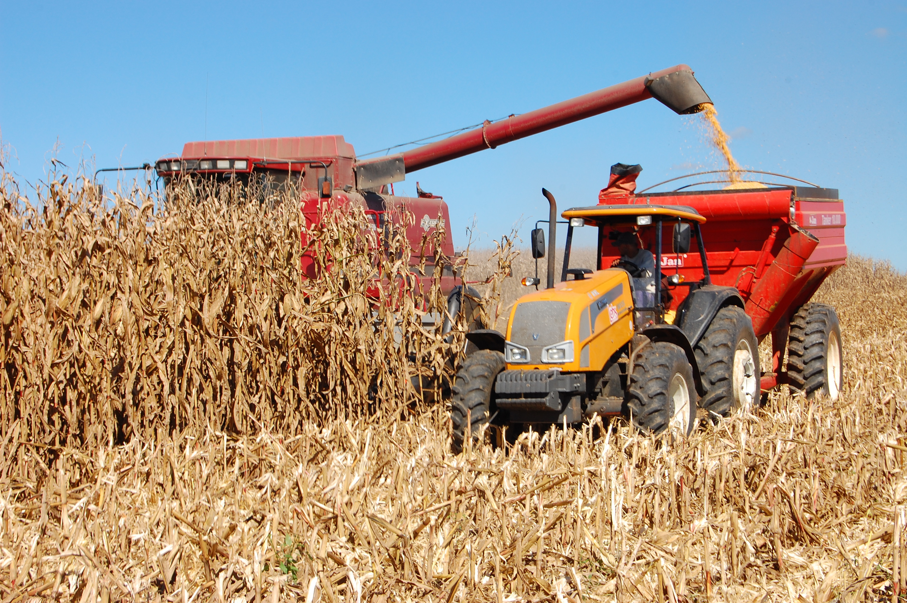 plano safra Cooperativa Agrária colheira milho