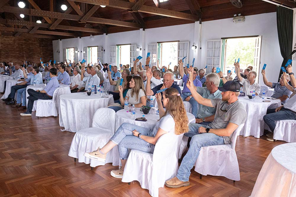 castrolanda 13 02 26