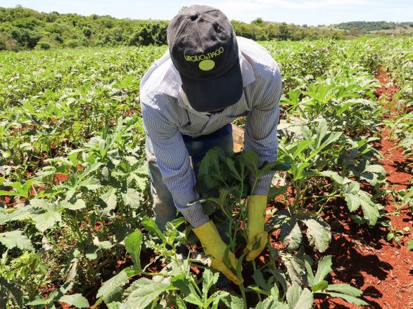 coopera pr 25 02 2026