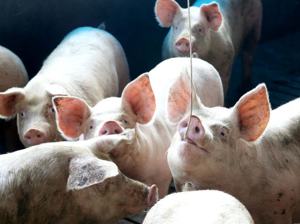 conjuntura agro 27 02 2026