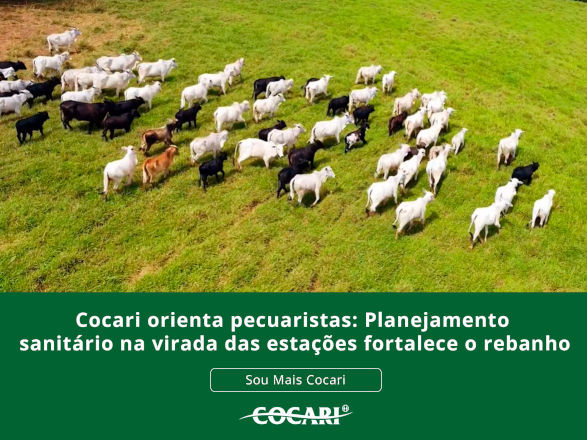 cocari 09 03 2026