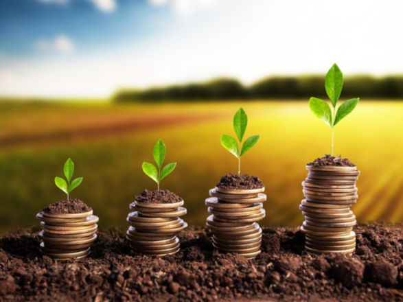 credito rural 10 03 2026