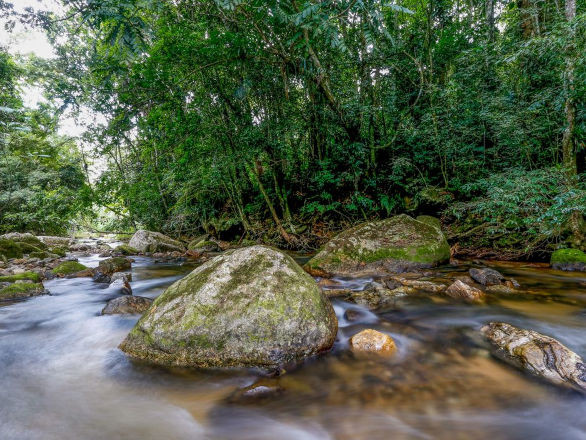 meio ambiente 12 03 2026