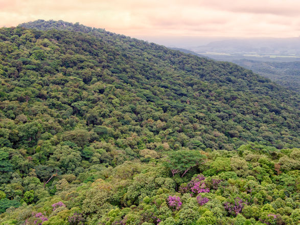 plano clima 19 03 2026