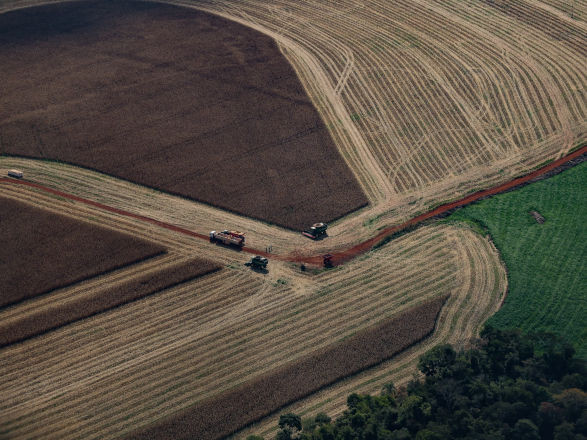 pib parana 24 03 2026