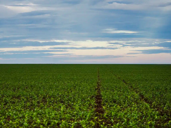 fazenda 21 05 2026