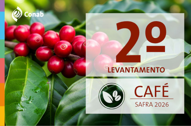 conab 22 06 2026